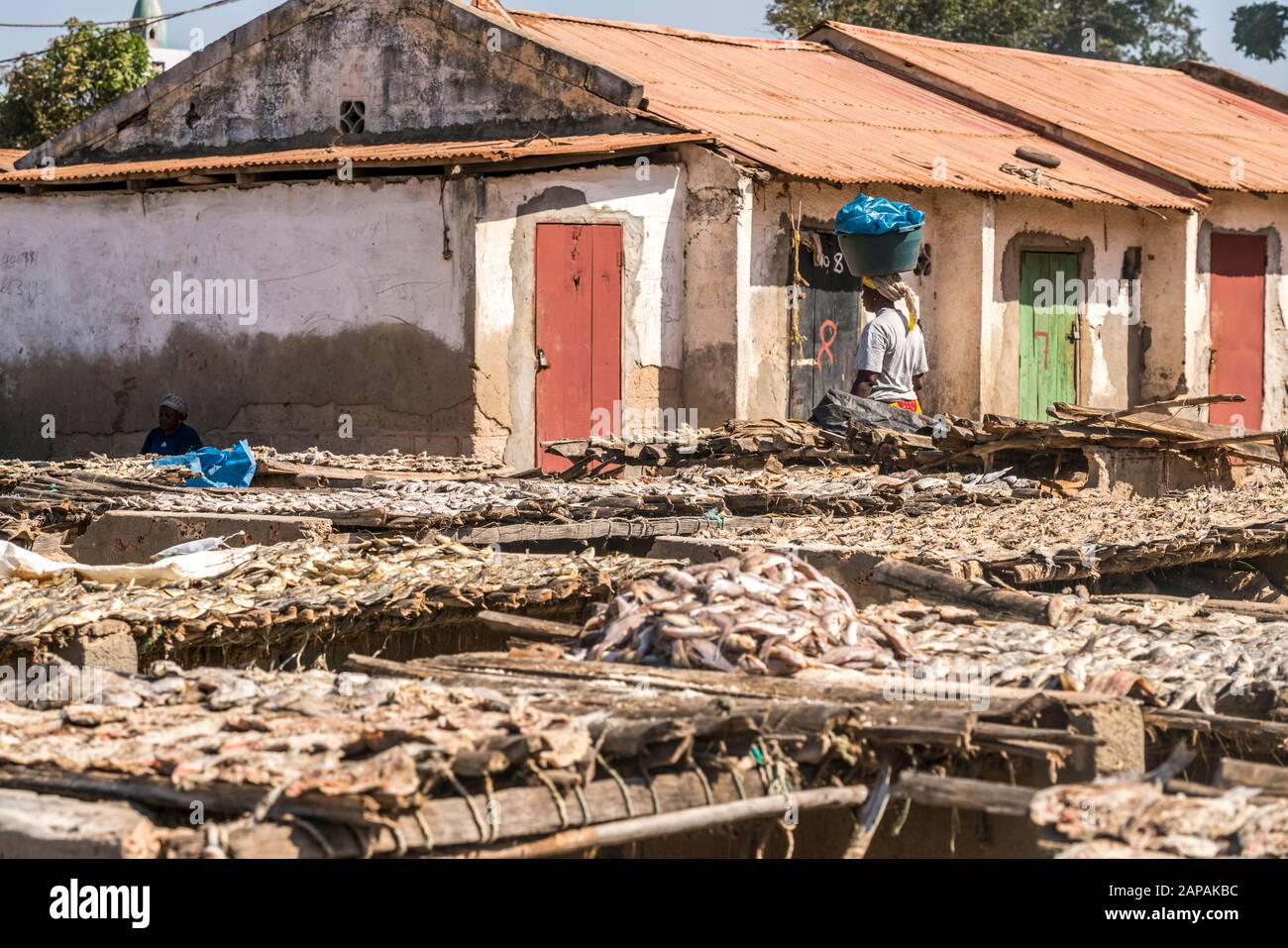 Holzgestelle mit Fischen zum trocknen, Ghana Town, Gambia, Westafrika  |  wooden frames with dry fish, Ghana Town, Gambia, West Africa, Stock Photo
