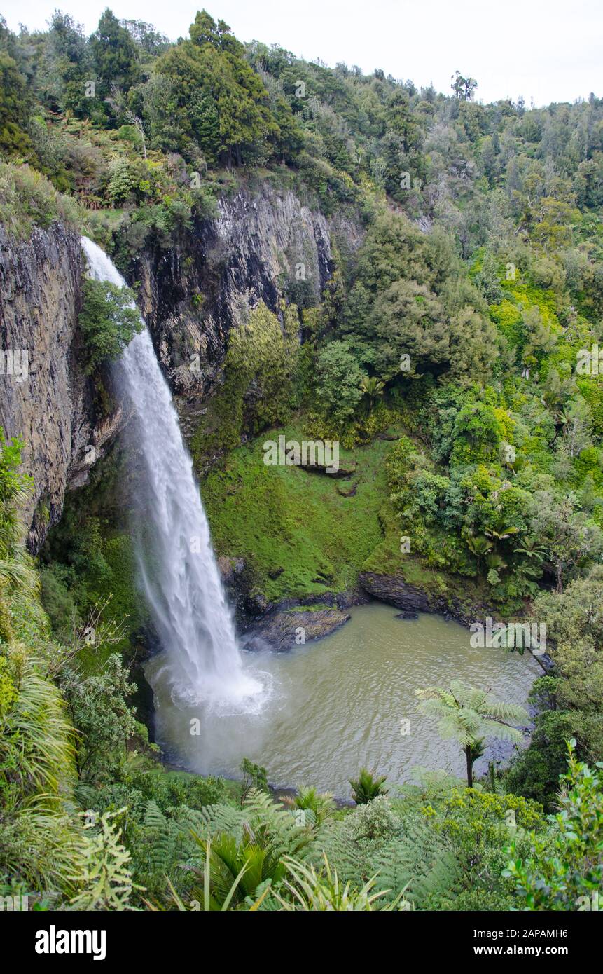 Bridal Veil Falls Waterfall in Waikato, New Zealand Stock Photo