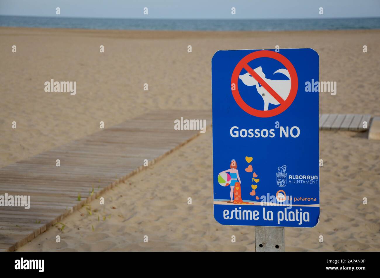 no dogs allowed on the beach at Valencia Spain Stock Photo