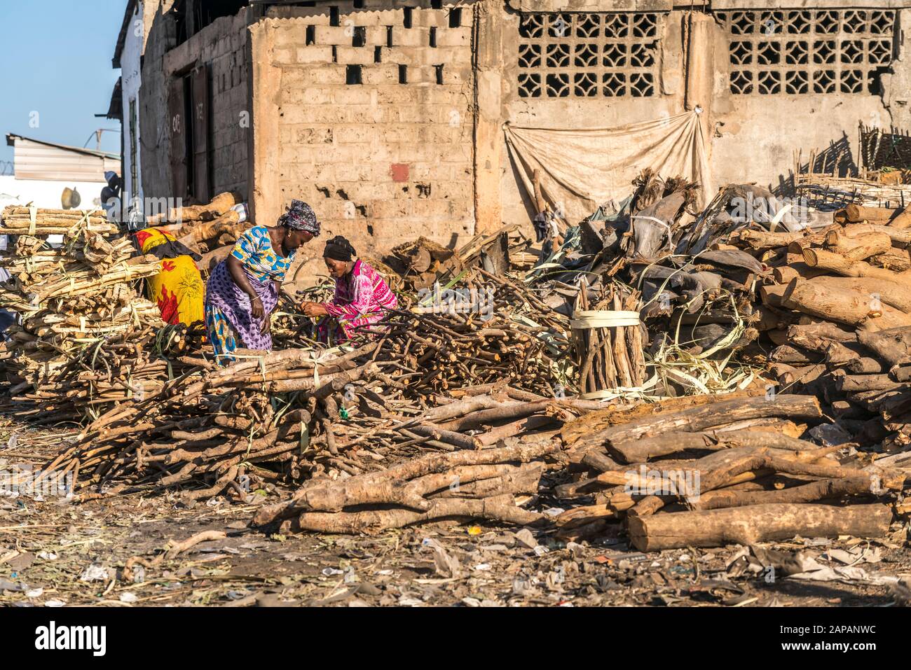 Verkauf von Brennholz auf dem Markt in  Tanji, Gambia, Westafrika  |  fire wood for sale on the market in Tanji, Gambia, West Africa, Stock Photo