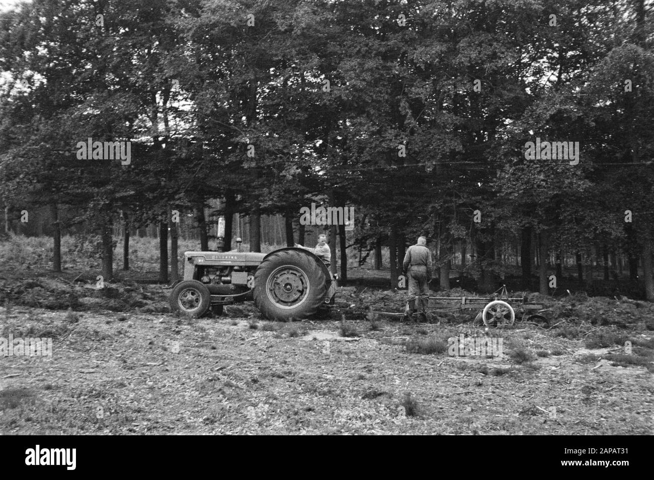 forestry, machines, tools, workers Date: undated Keywords: workers, forestry, machines, tools Stock Photo