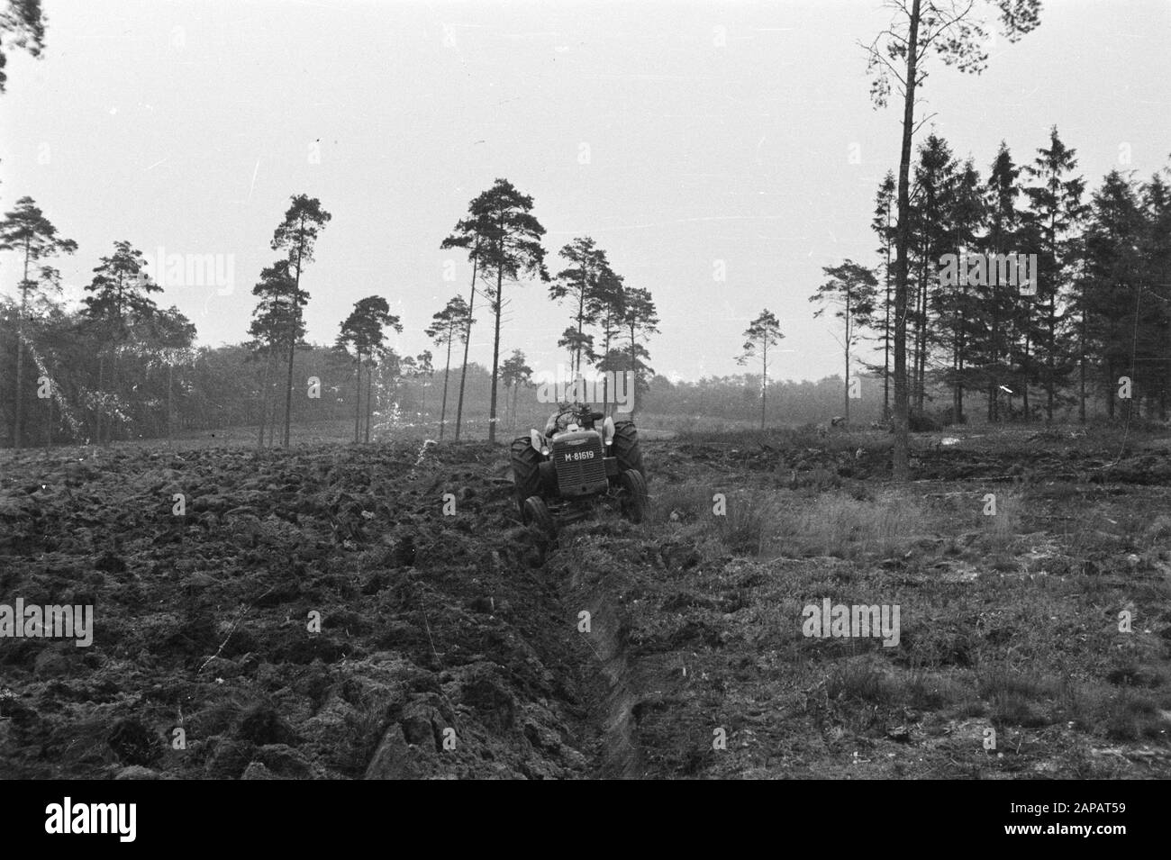 forestry, machines, tools, workers Date: undated Keywords: workers, forestry, machines, tools Stock Photo