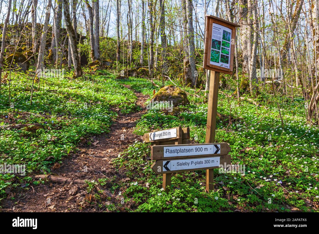 Nature trail in a spring woodland with directions signs Stock Photo
