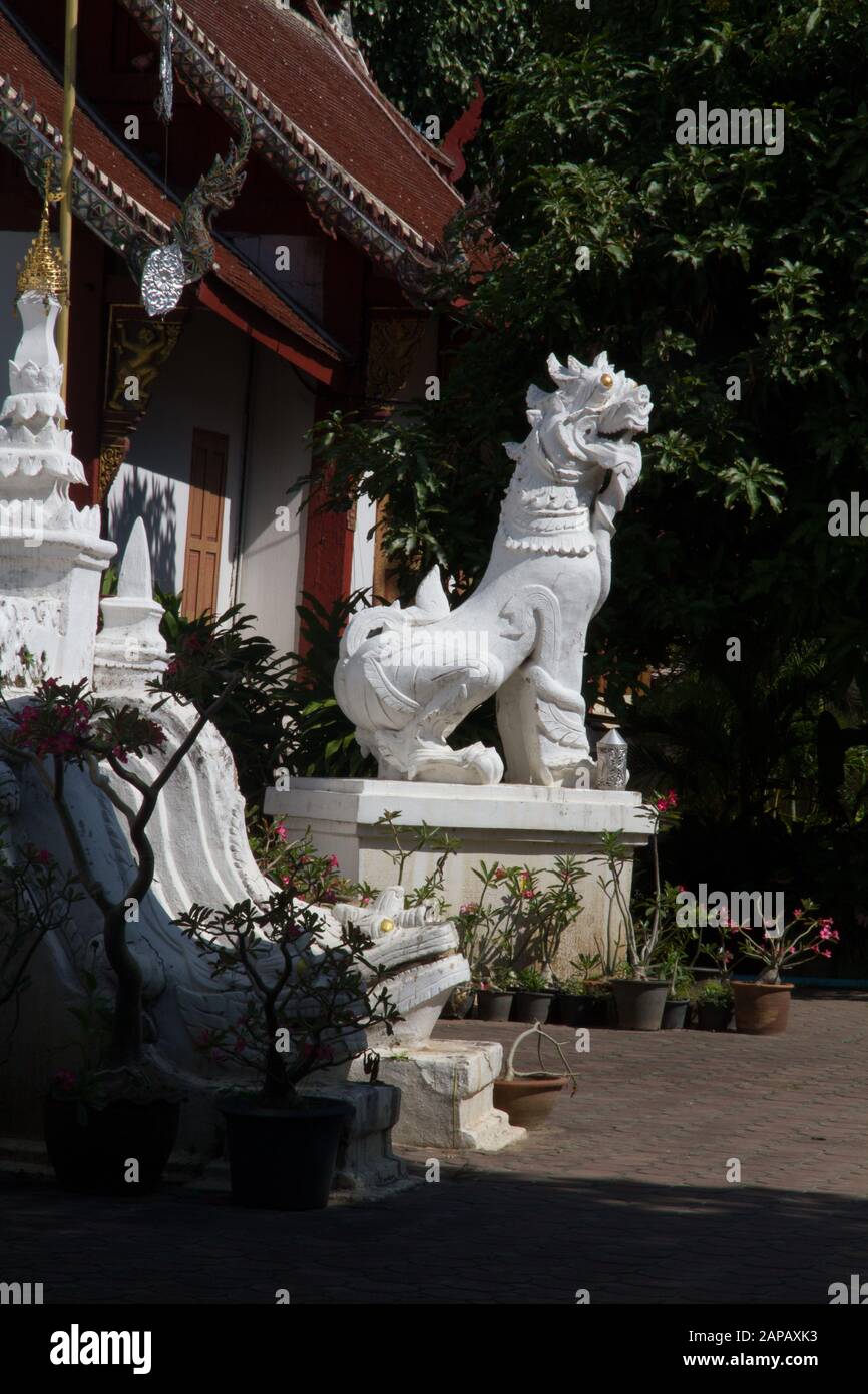 Dragon statue Buddhist Mahawan temple, Chiang Mai, Thailand Asia Stock Photo