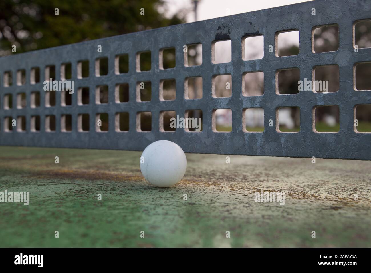 a white table tennis ball in front of a metal net on an outdoor table tennis table Stock Photo