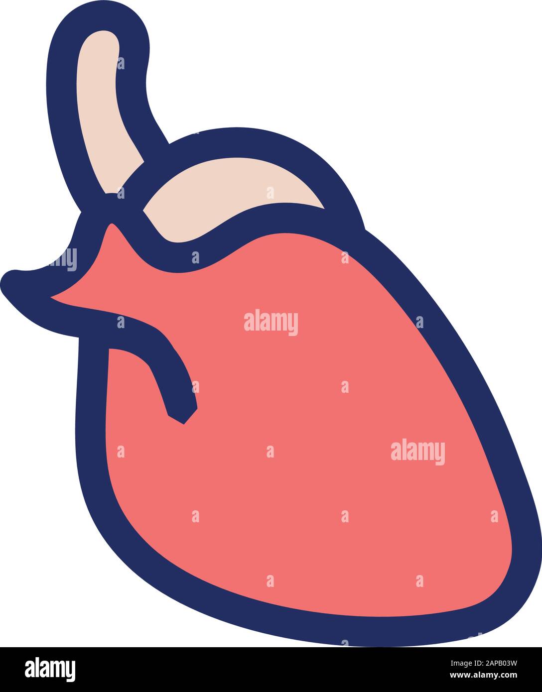 heart human organ isolated icon Stock Vector Image & Art - Alamy