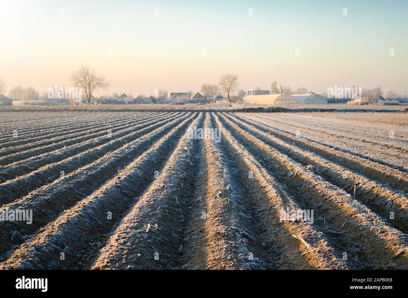 Winter farm field ready for new planting season. Agriculture and agribusiness. Choosing right time for sow fields plant seeds, protection from spring Stock Photo