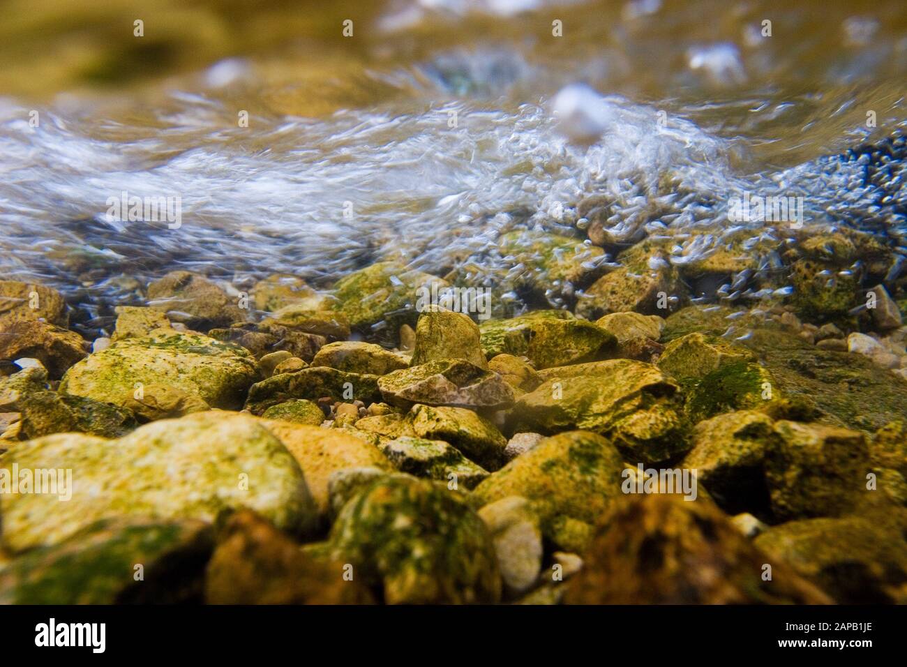 Rocky river bottom of the Licka Jesenica River Stock Photo - Alamy