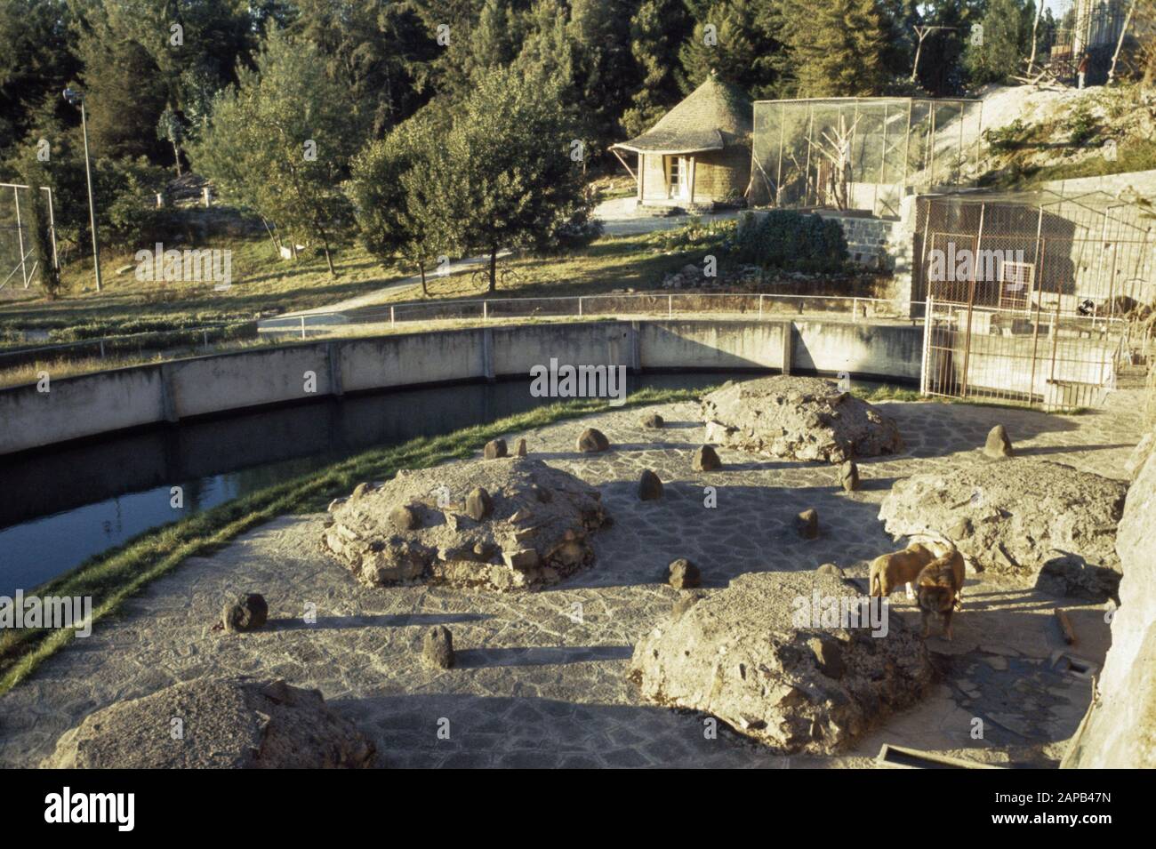 Visit Queen Juliana, Pr. Bernhard, Pr. Beatrix Pr. Claus to Ethiopia; interior and garden in Djubilin Palace Date: 31 January 1969 Location: Ethiopia Keywords: GARDEN, visits Personal name: Bernhard, prince, Claus, prince, Juliana, Queen Stock Photo