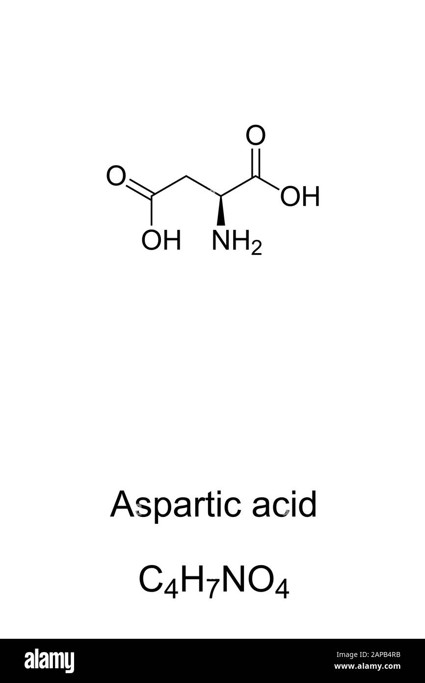 Aspartic acid molecule, skeletal formula. Structure of Asp, C4H7NO4. Ionic form known as aspartate. Neurotransmitter. Stock Photo