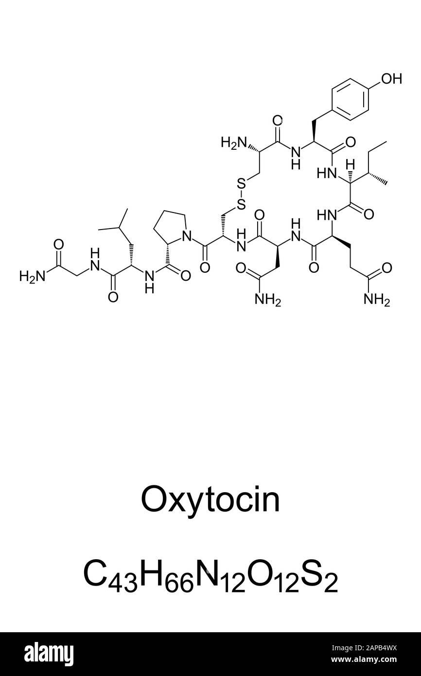 Oxytocin molecule, skeletal formula. C43H66N12O12S2, a peptide hormone, neuropeptide and neurotransmitter. Stock Photo
