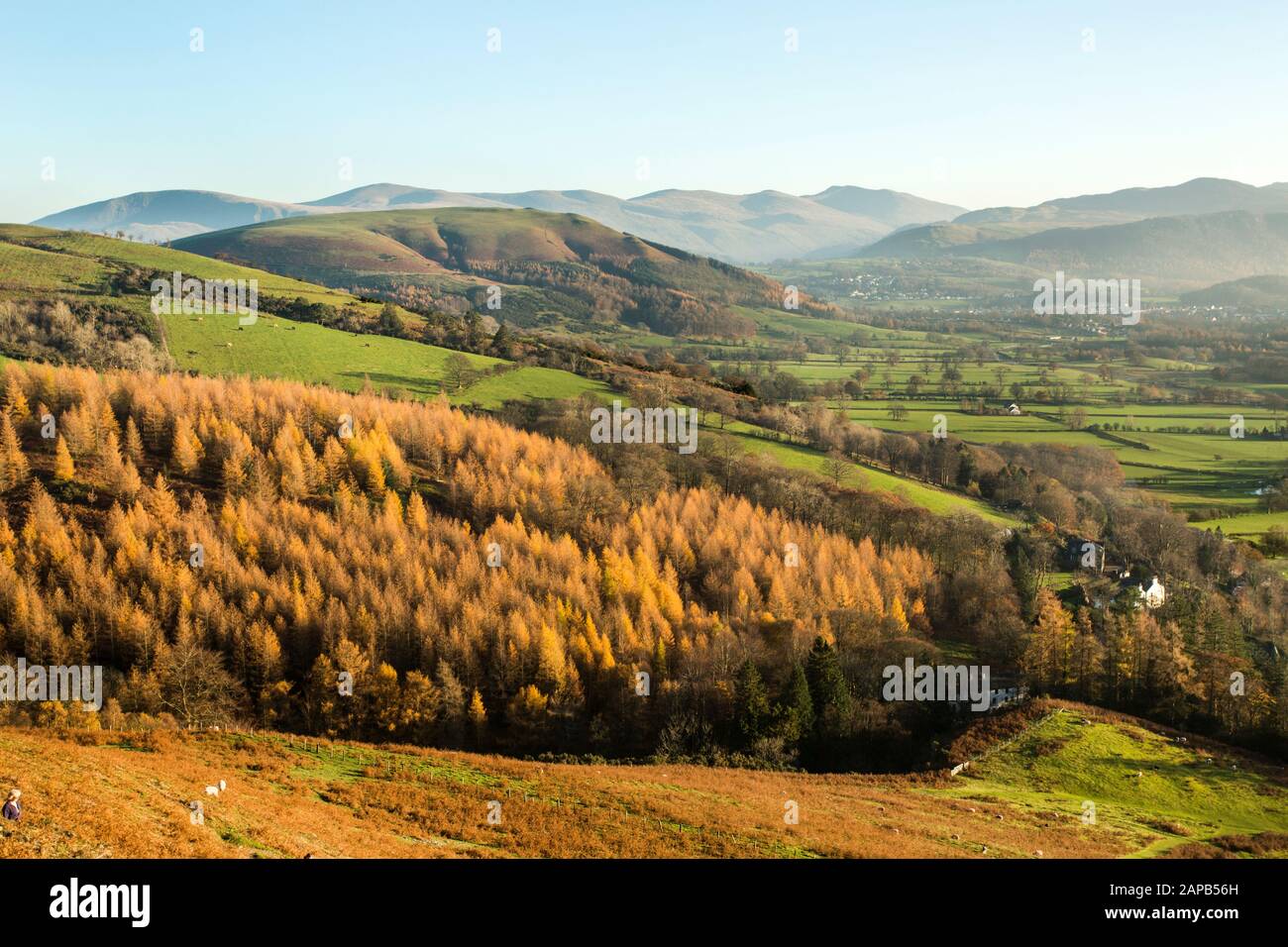 Latrigg and The Dodds from Skiddaw, Lake District Stock Photo