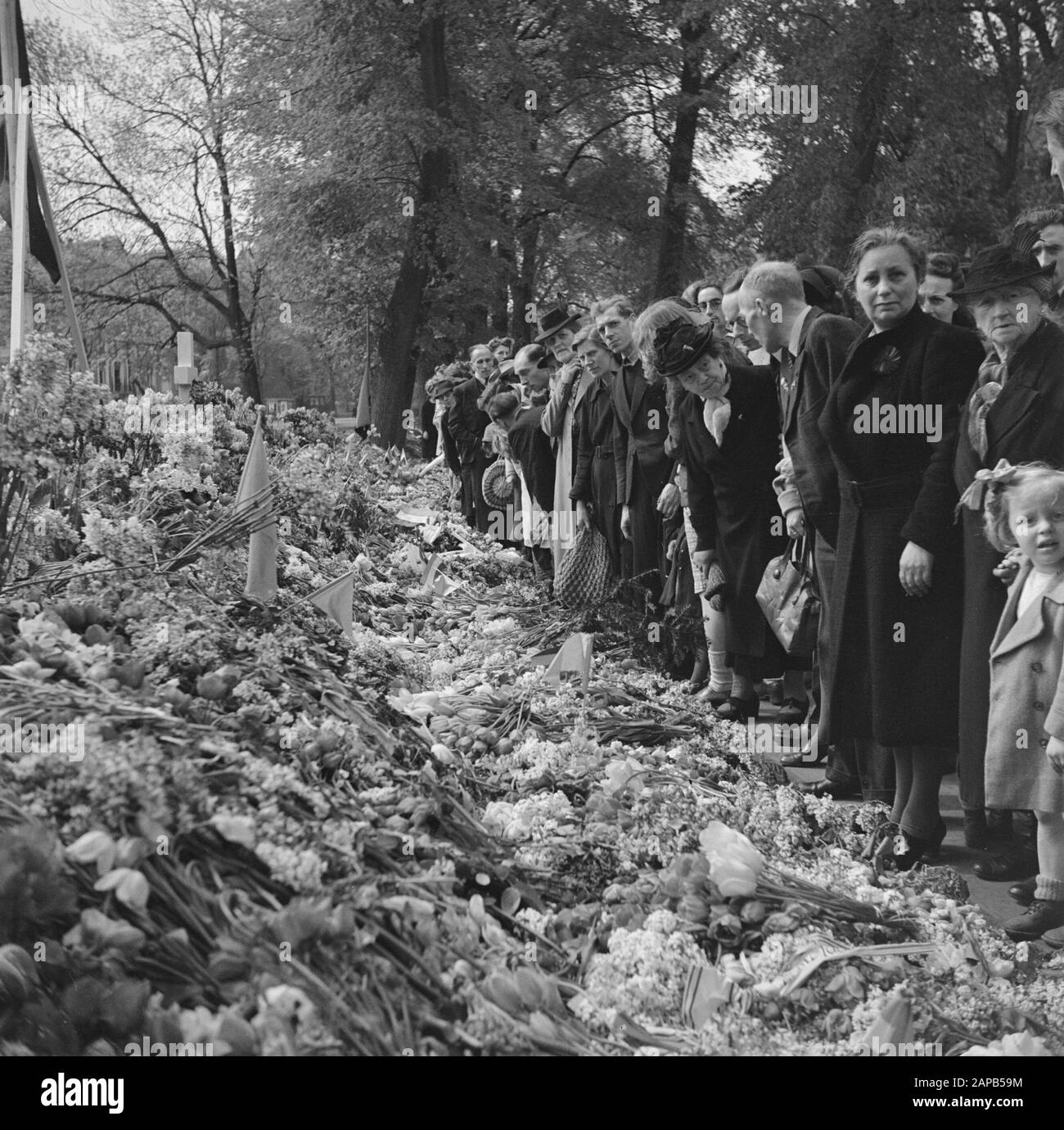 Liberation festivities: Amsterdam Description: Visitors to the memorial ceremony for shot Dutch people in the Weteringsplantsoen walk past laid flowers and wreaths Date: May 1945 Location: Amsterdam, Noord-Holland Keywords: flowers, executions, landscaping, commemorations, public, resistance fighters Stock Photo