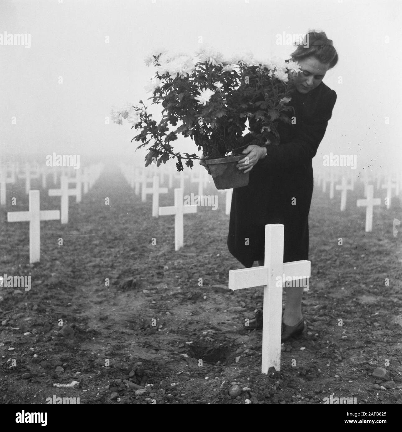 Cemeteries of world war ii Black and White Stock Photos & Images - Alamy