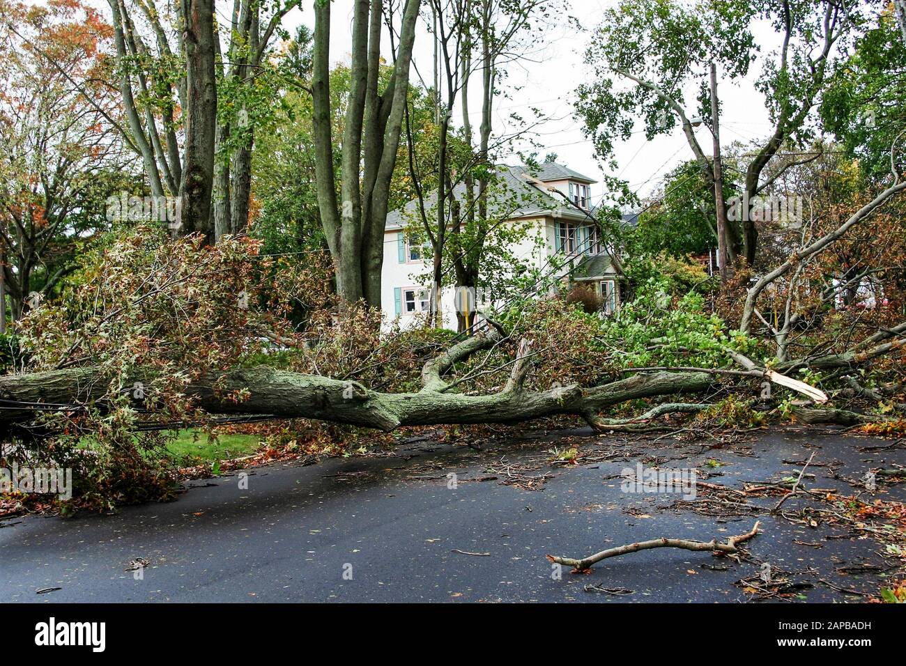 The destruction in my neighborhood in Babylon New York after Super Storm Hurricaine Sandy in October 2010. Stock Photo