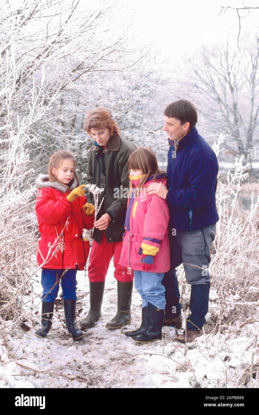 family, mum, dad, two daughters, out for a walk in the snow and frost looking at frosted seed head, Stock Photo