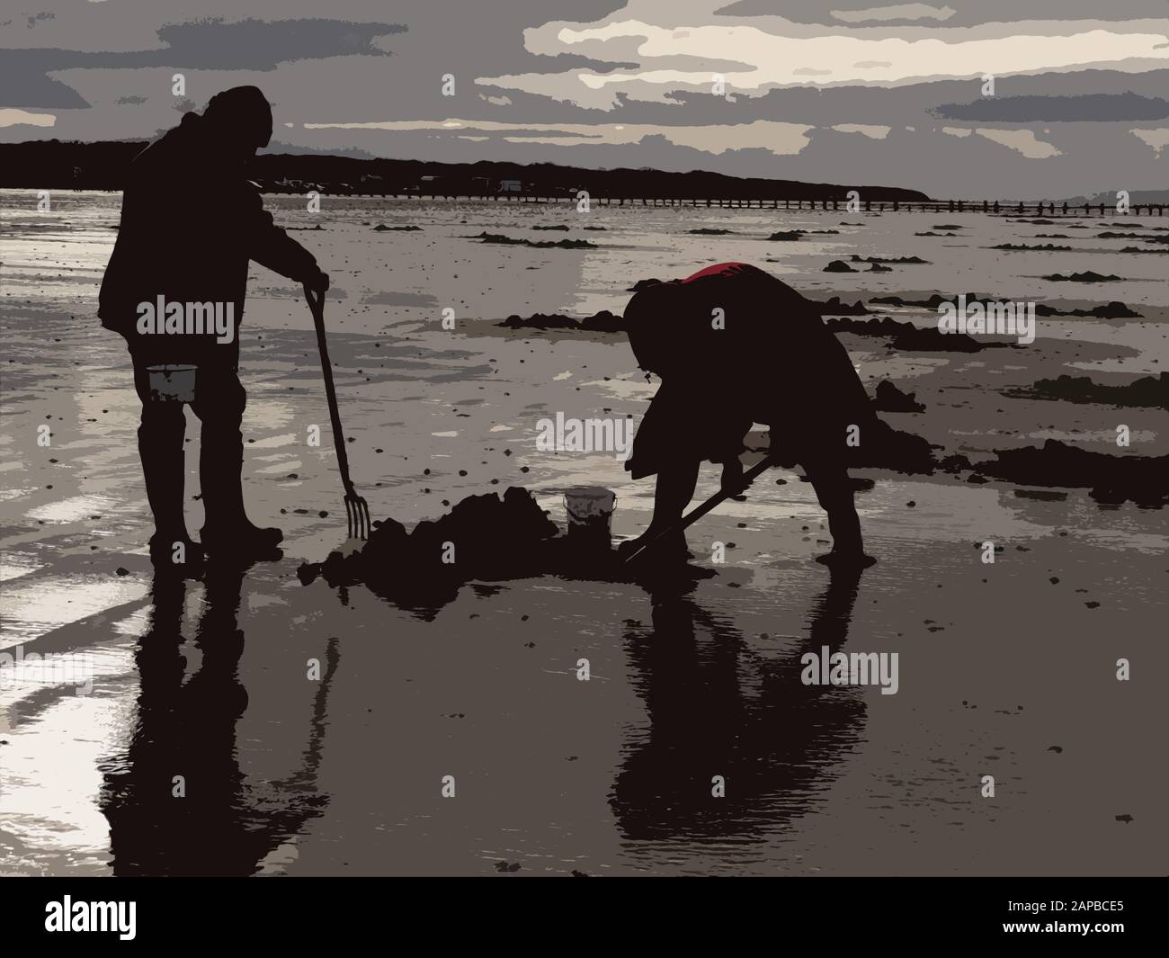 Two men bait digging on Somerset Beach UK Stock Photo