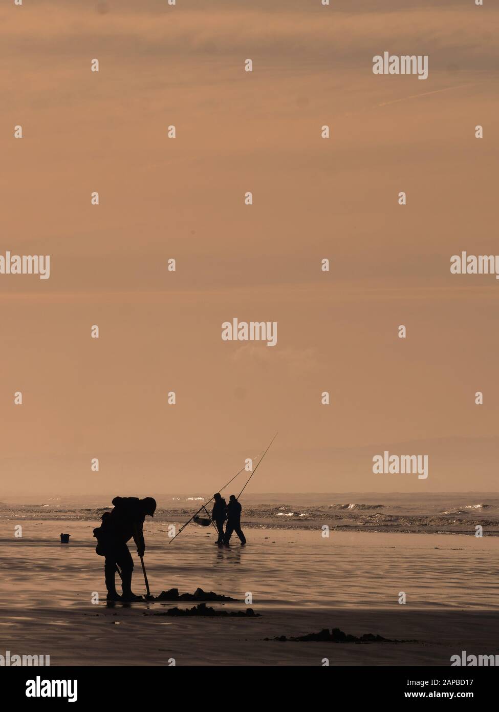 Fishing and Metal Detecting on a beach, Brean, Somerset UK Stock Photo