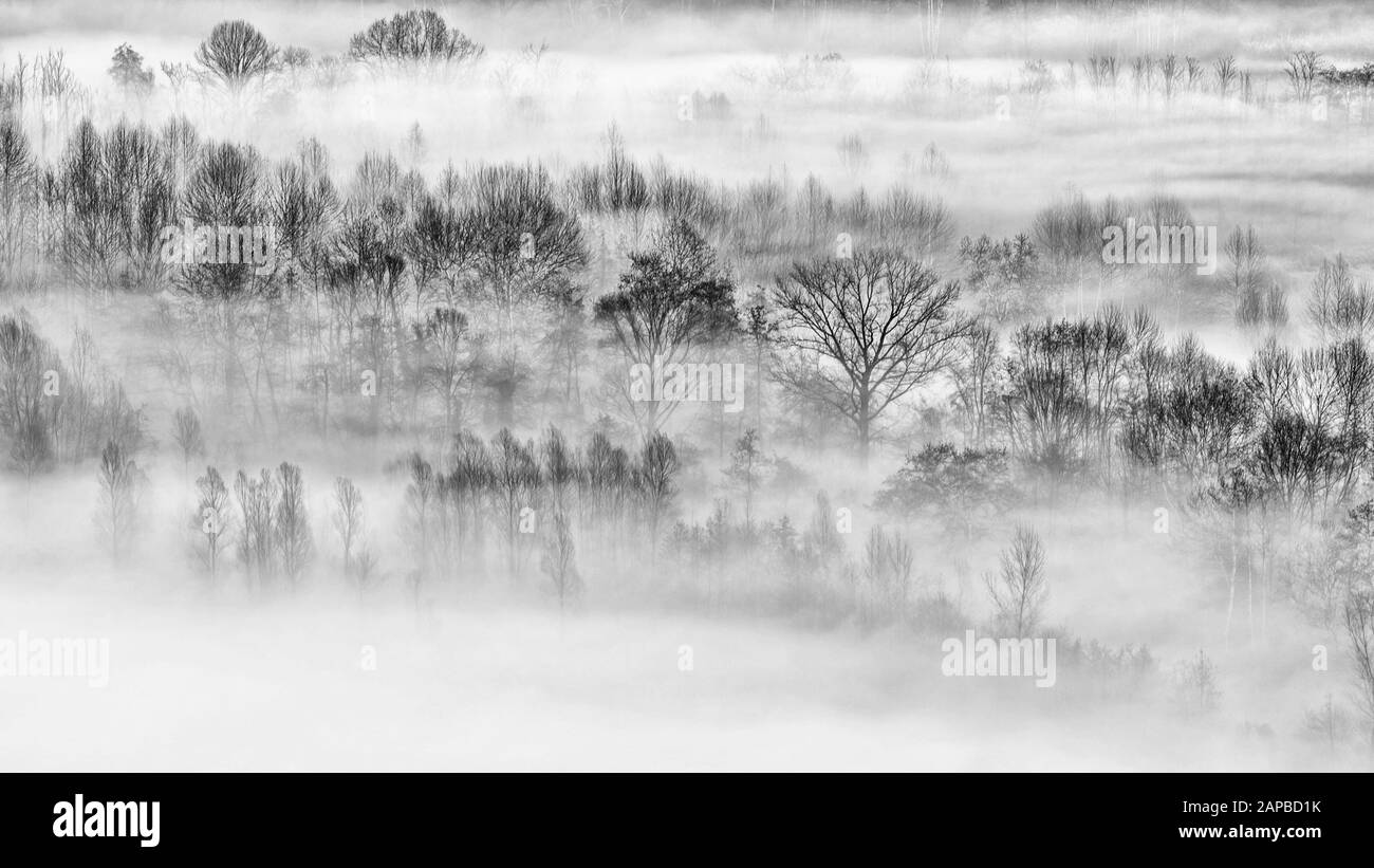 Bush Sunrise With Silhouette Black and White Stock Photos & Images - Alamy