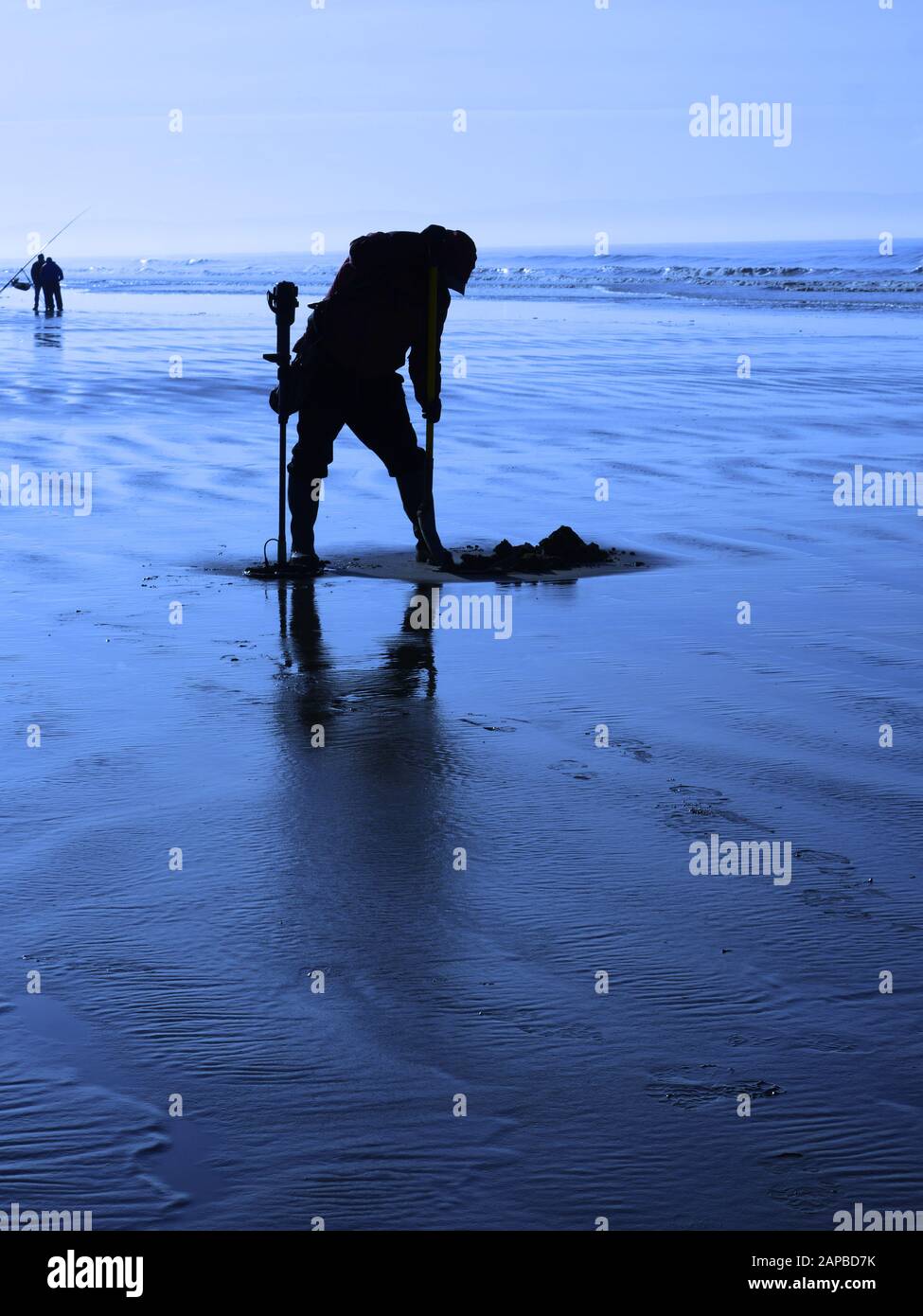 Metal Detecting on a Somerset beach in UK Stock Photo Alamy