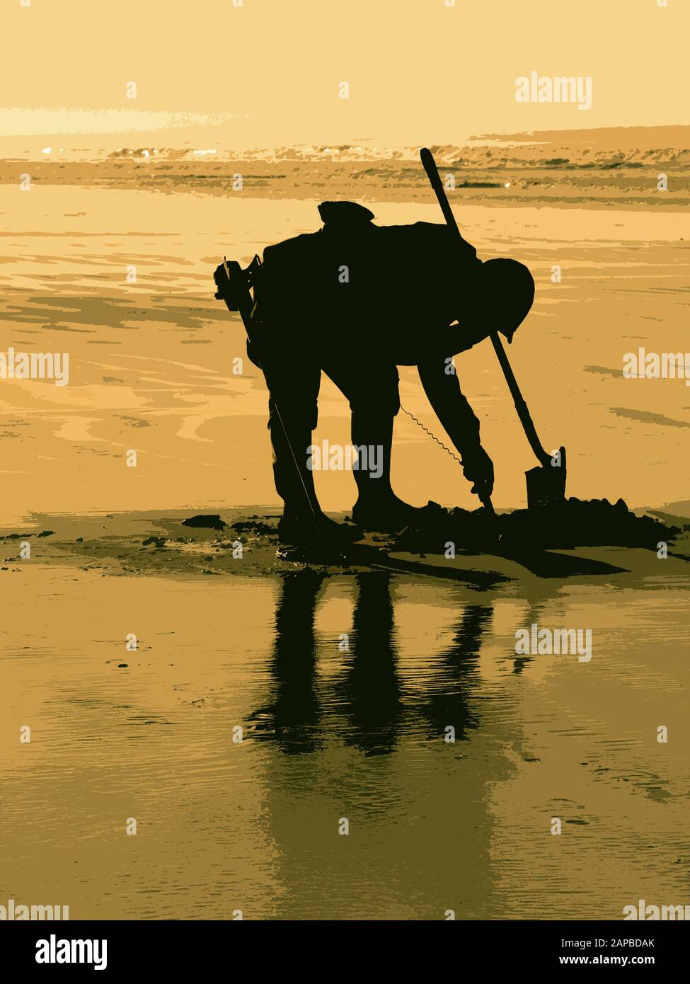 Metal Detecting on a Somerset beach in UK Stock Photo Alamy