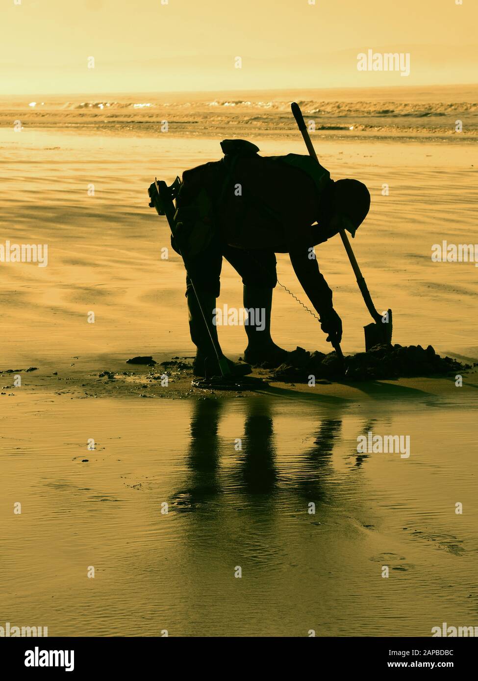 Metal detecting detectorist hires stock photography and images Alamy