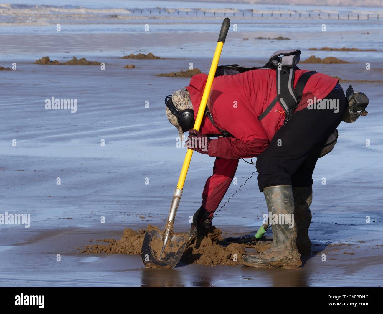 Metal Detecting on a Somerset beach in UK Stock Photo Alamy