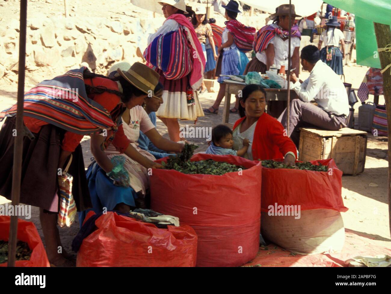 BOLIVIA Selling coca leaves, Cochabamba photo by Sean Sprague Stock