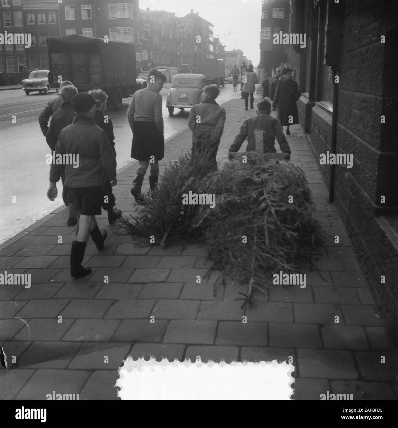 Youth collects christmas trees hires stock photography and images Alamy