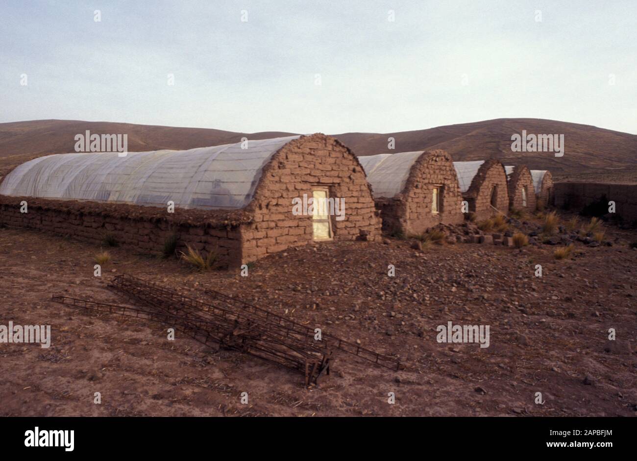 BOLIVIA  Greenhouse made from plastic sheeting and adobe blocks, El Alto  photo by Sean Sprague Stock Photo