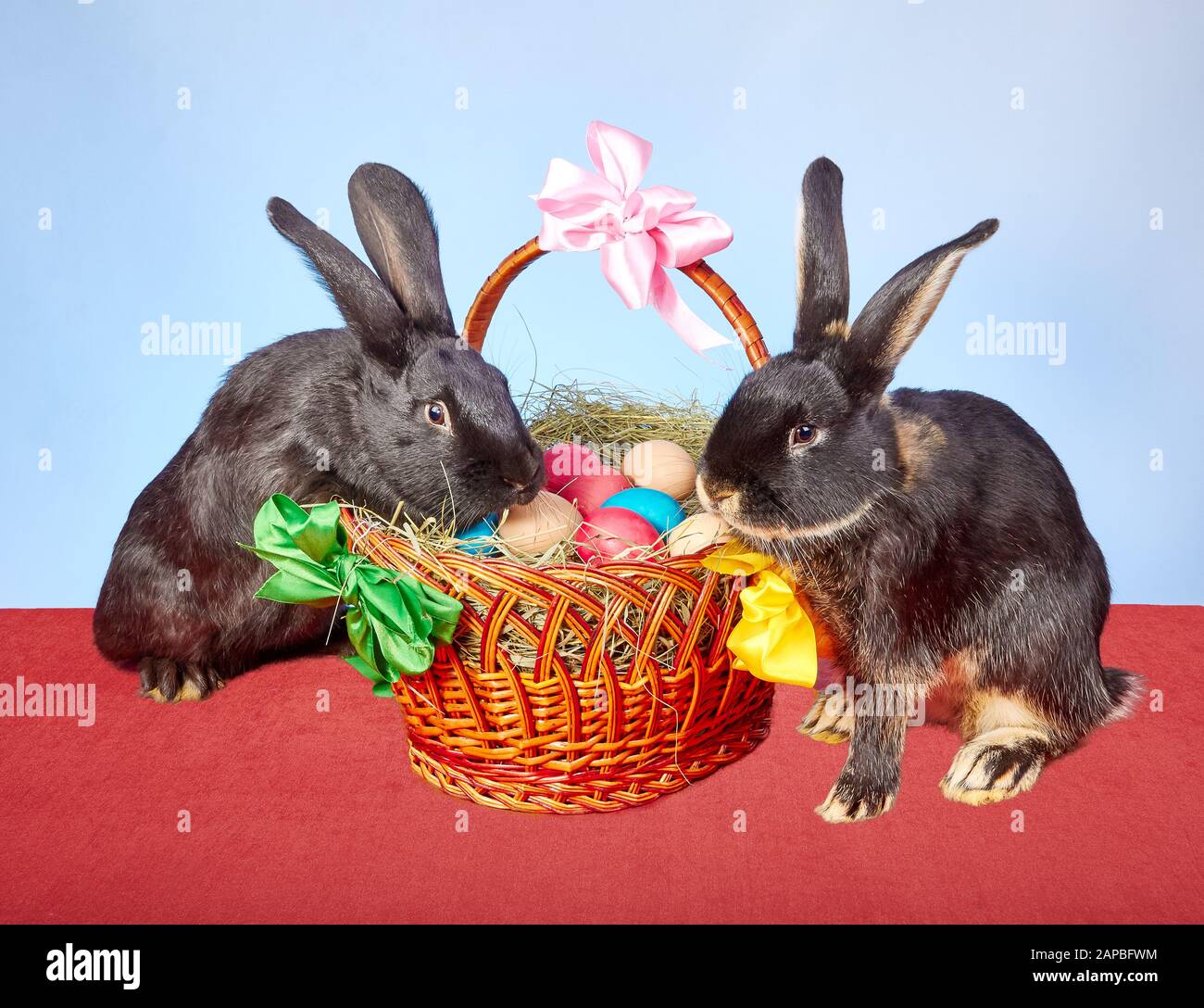On a red cloth the basket with Easter eggs and two rabbits Stock Photo ...