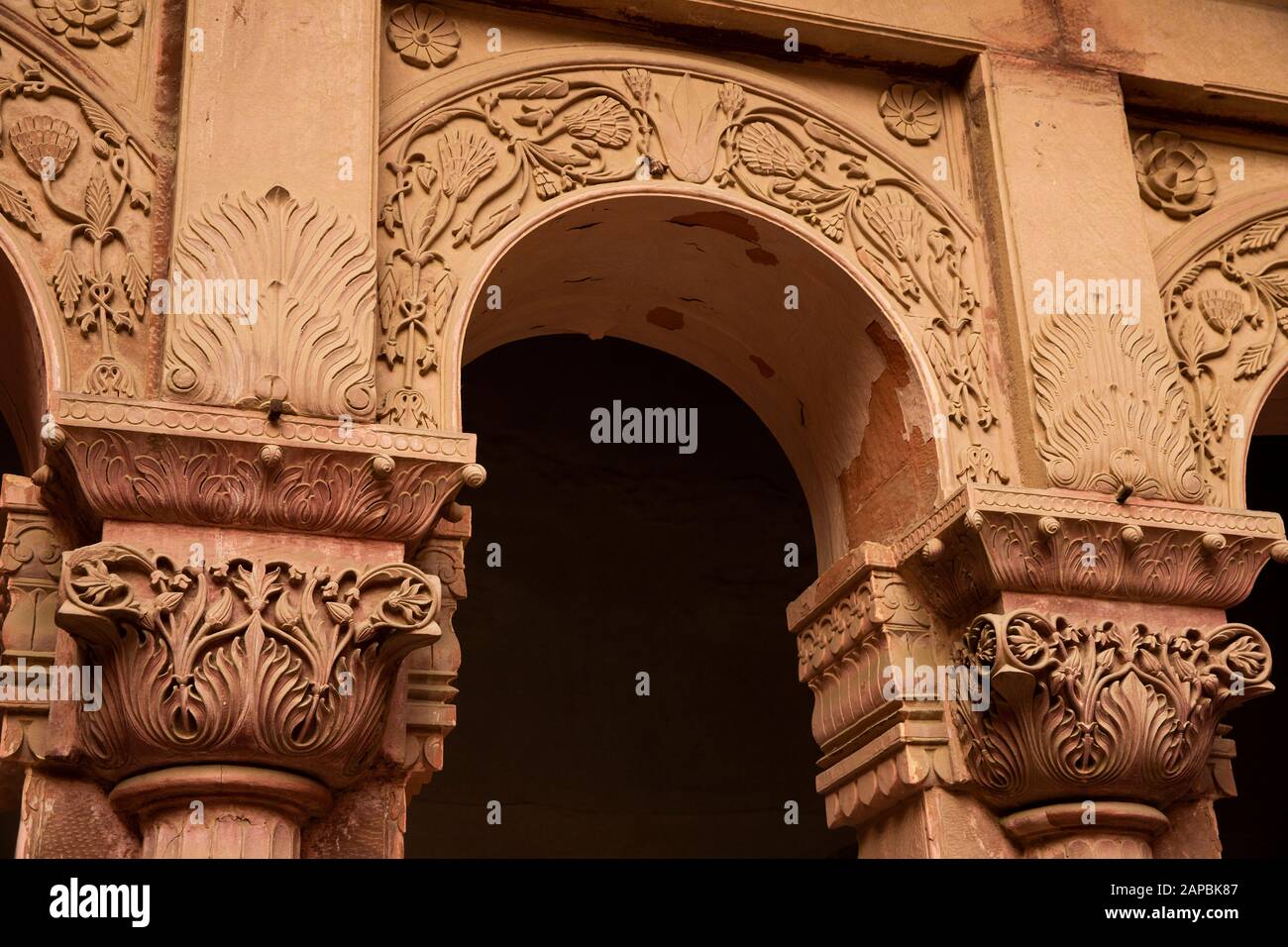 India, Rajasthan, Shekhawati, Bikaner, city centre, Junagarh Fort, carved sandstone pillars detail Stock Photo