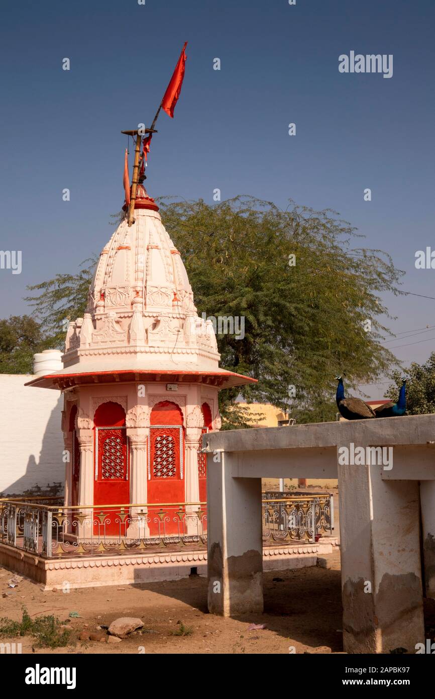 Local Indu India, Rajasthan, Shekhawati, Bikaner, Gajner, small local Hindu temple ...
