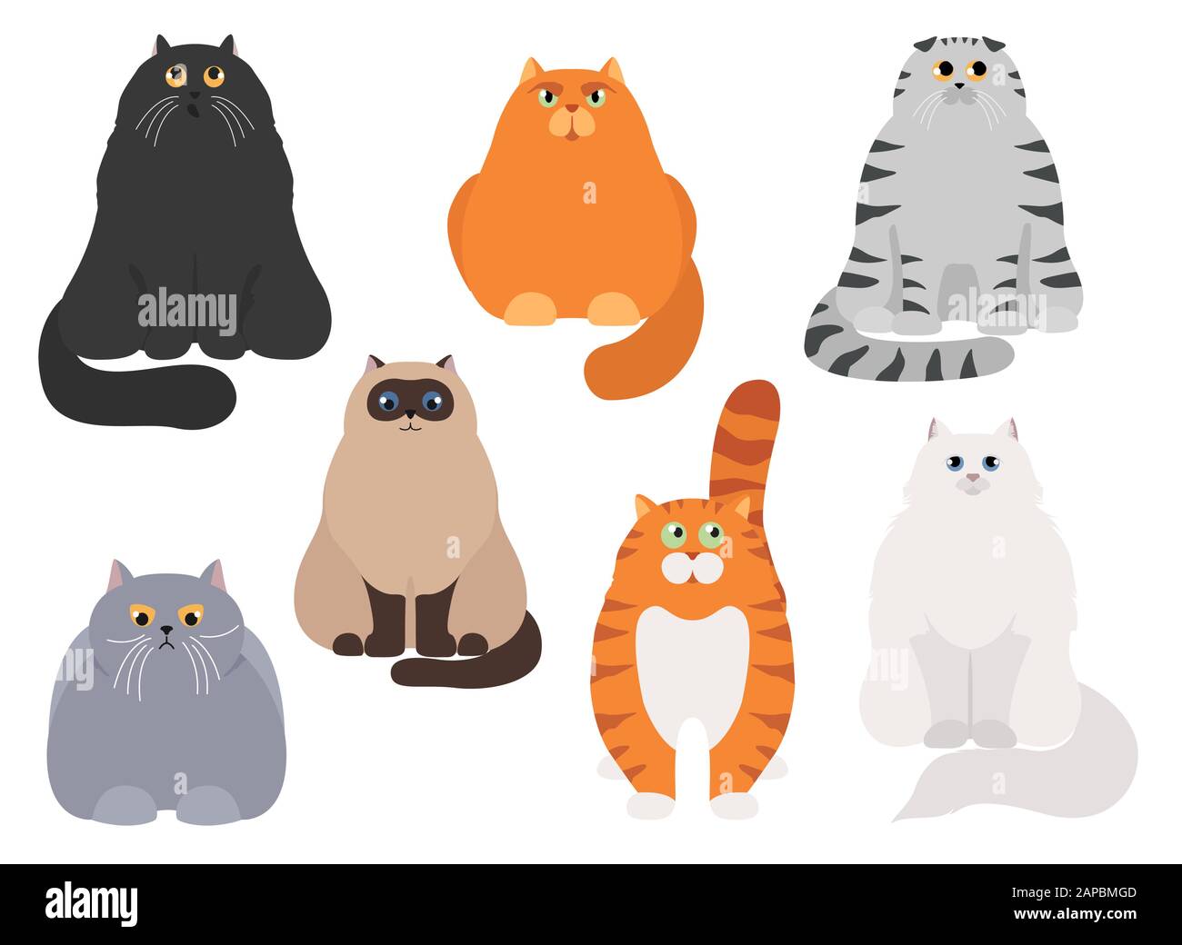 Cat Poster Cartoon Cat Characters Collection Different Cat S Poses And Emotions Set Flat Color Simple Style Design Vector Illustration Stock Vector Image Art Alamy Cat Poster Cartoon Cat Characters Collection Different Cat S Poses And Emotions Set Flat Color Simple Style Design Vector Illustration Stock Vector Image Art Alamy