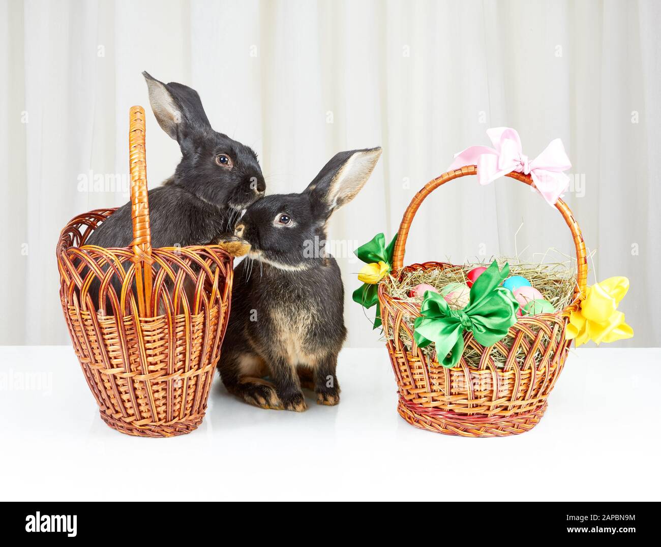 Rabbits are sitting near a basket with Easter eggs Stock Photo - Alamy