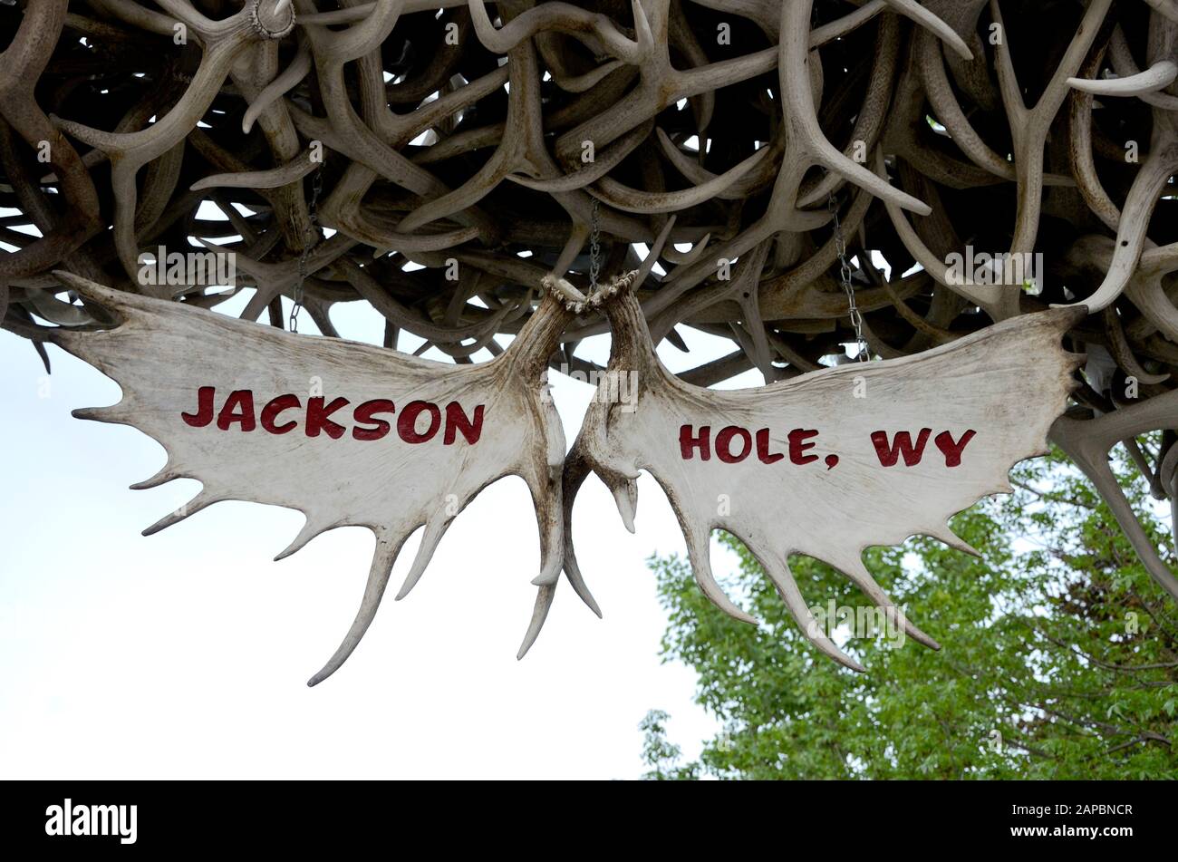 Echoes in the American Wild: Weaving Jackson Hole into the Tapestry of Legend
