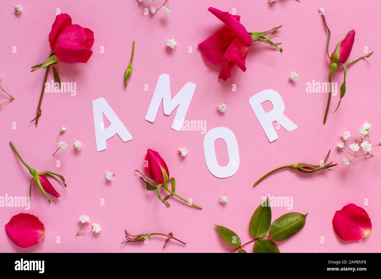 Red flowers and text AMOR on a light pink background top view Stock Photo