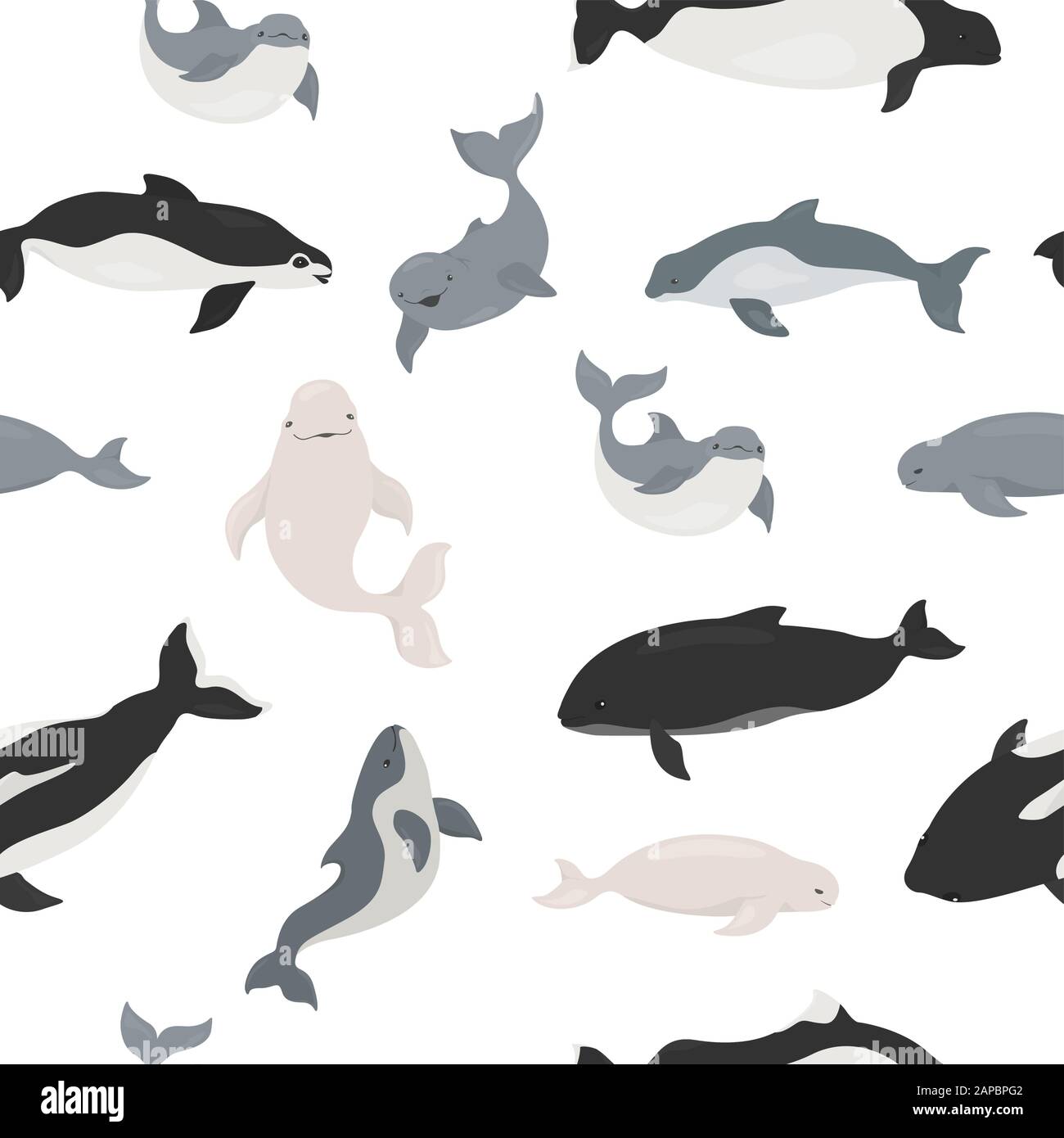 Marine mammals collection. Different porpoises set. Cartoon flat style seamless pattern. Vector illustration Stock Vector