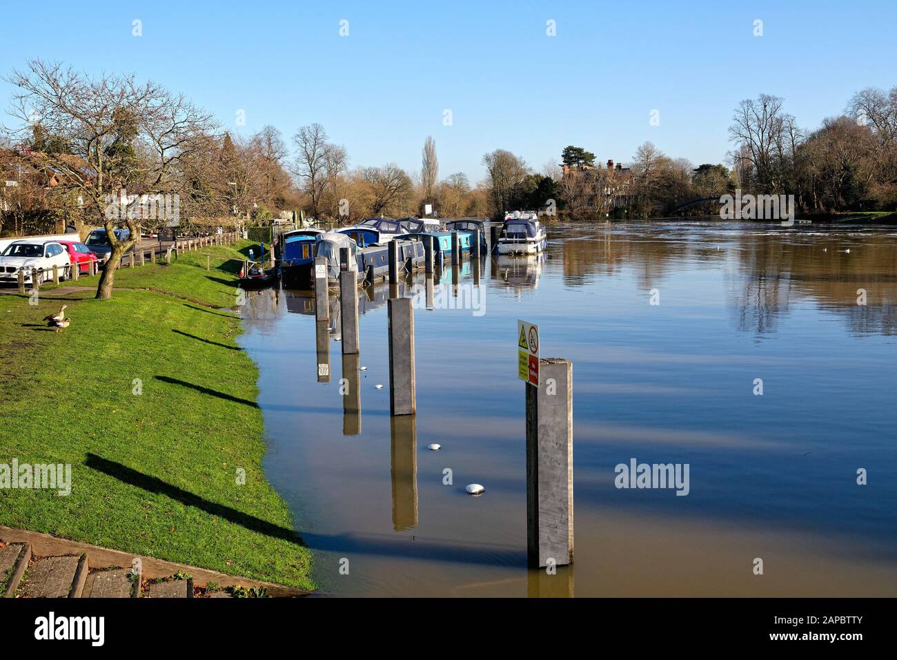 The River Thames at Shepperton on a sunny winters day, Surrey England UK Stock Photo