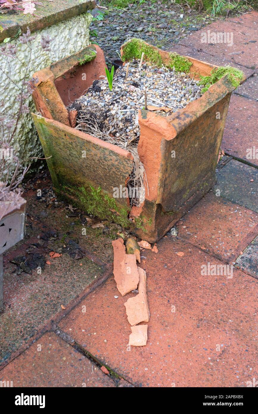 Frost damage to a terracotta pot Stock Photo Alamy