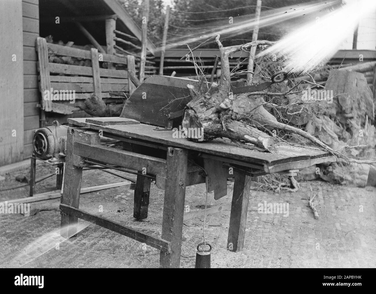 Firewood 2024 circular saw