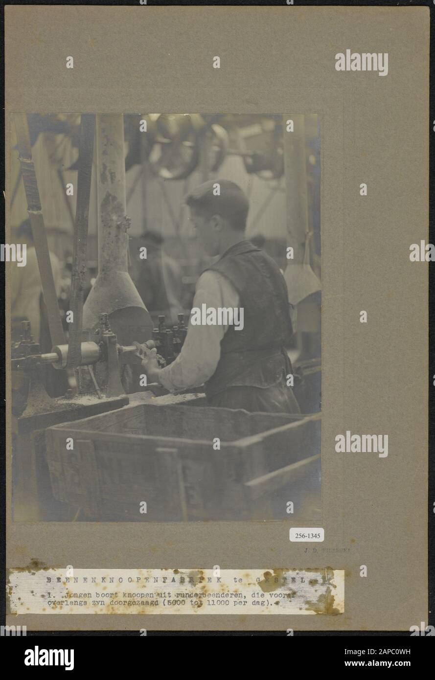 Legs knotting factory in Gestel Description: 1. boy drills knots out of bovine bones, which have been cut through beforehand (5000-11000 per day) Date: 1919 Location: Gestel, Noord-Brabant Keywords: workers, leg, drills, factories, children, knots Stock Photo