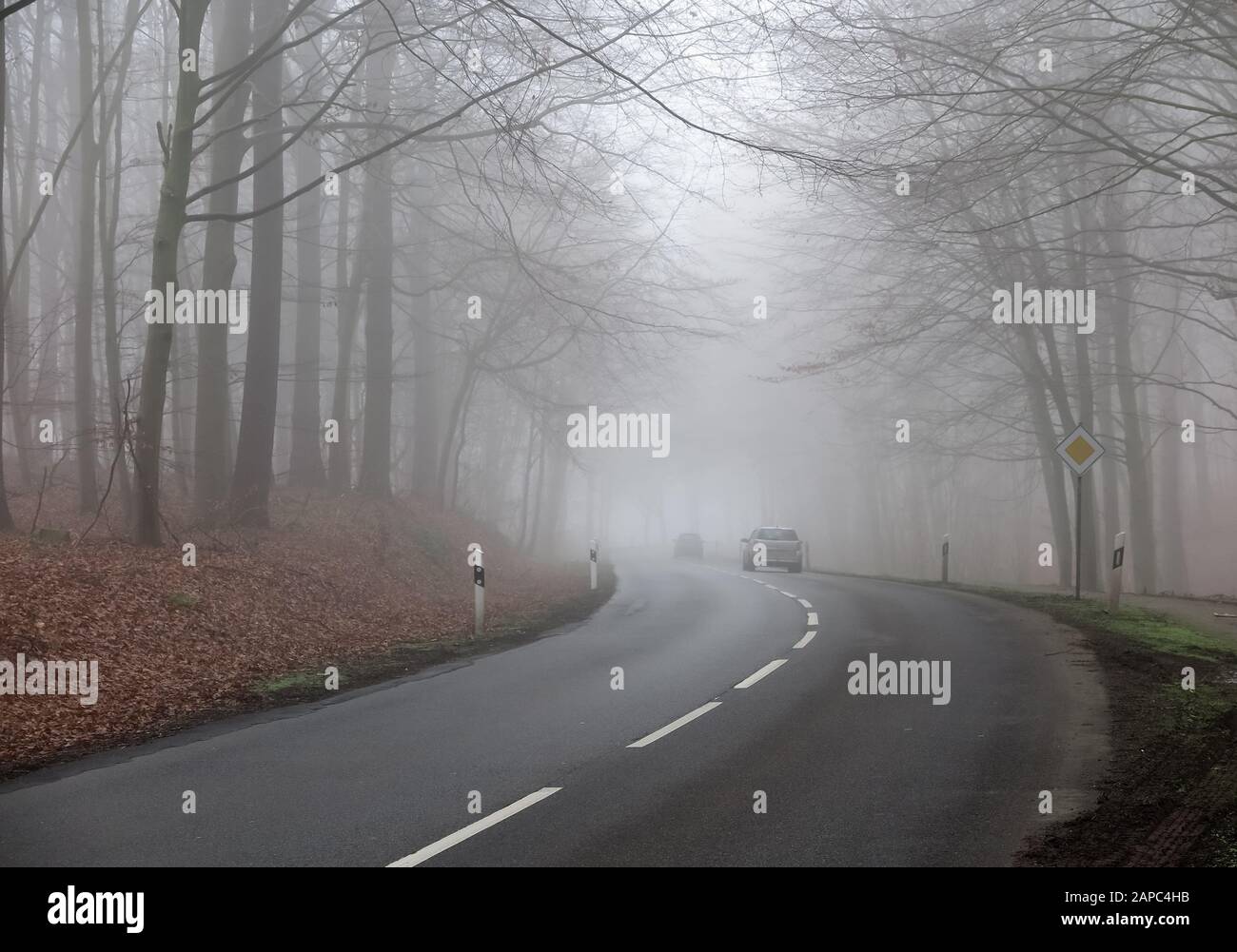 Poor visibility from fog in winter morning View on german country road through forest with bare