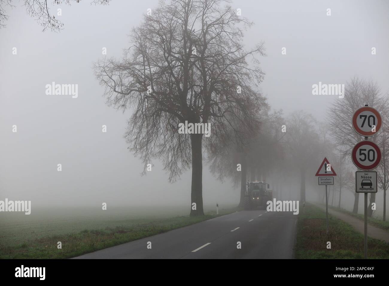 Poor visibility from fog in winter morning: View on german country road through forest with bare trees and headlights of car Stock Photo