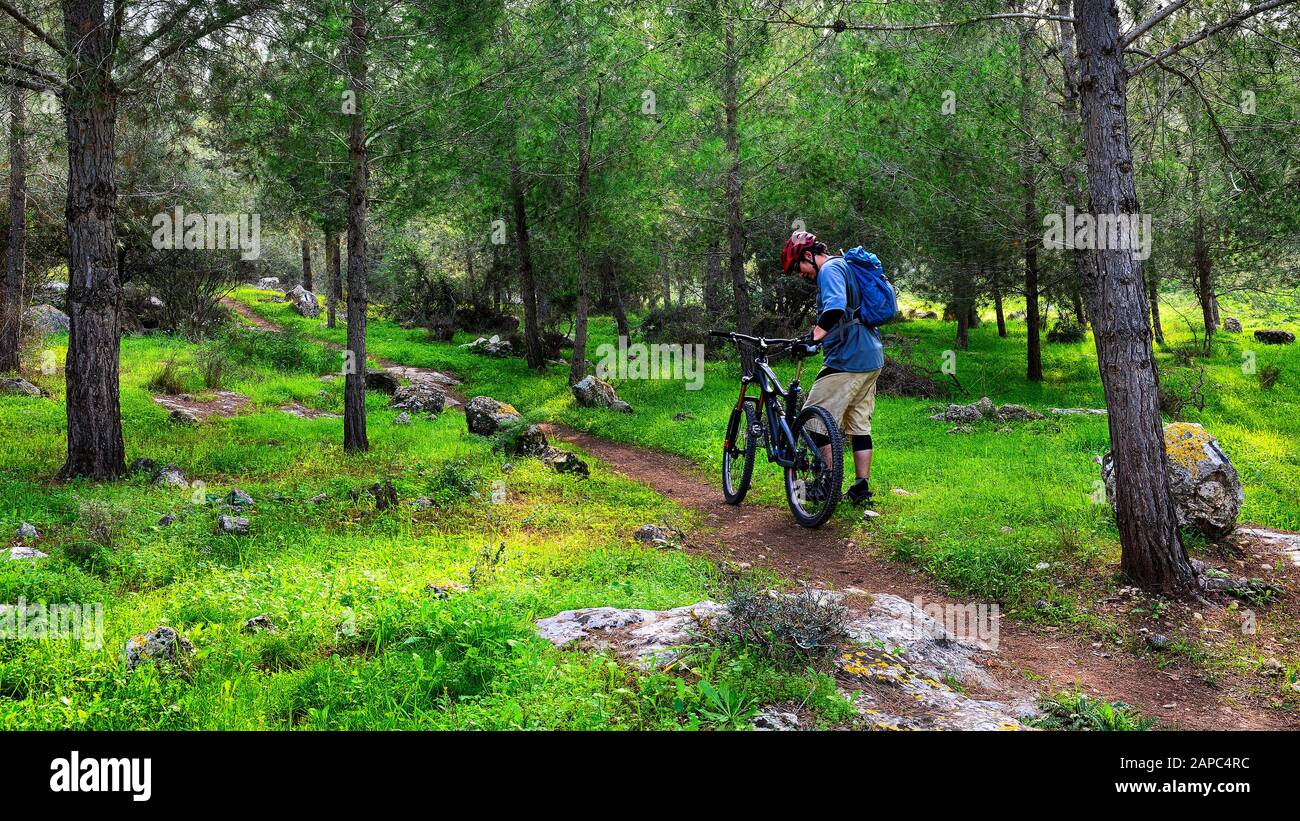 Cyclist with bike getting ready to ride single track. Green forest with young grass and a bicycle path. Stock Photo