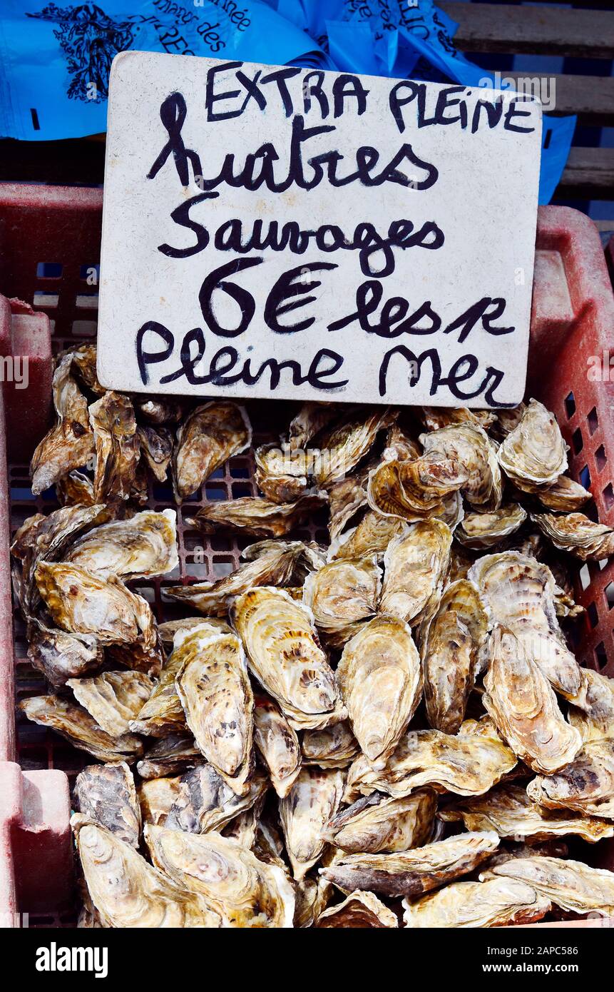 France, Brittany, oyster market in Cancale Stock Photo Alamy