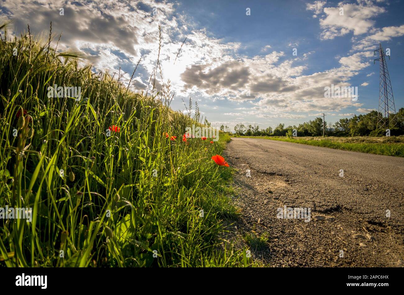 Roadside Path High Resolution Stock Photography and Images - Alamy