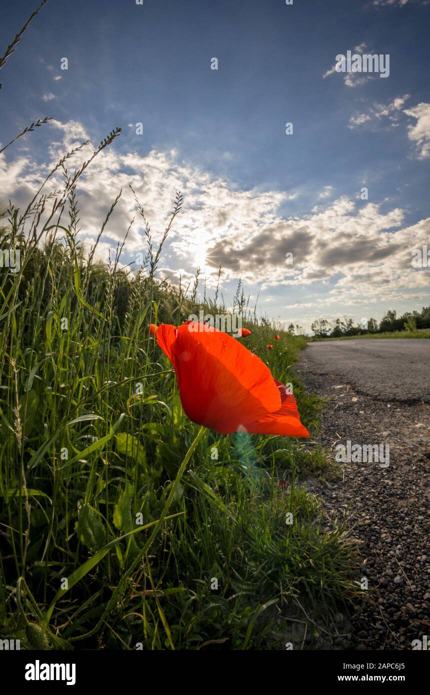 Roadside Path High Resolution Stock Photography and Images - Alamy
