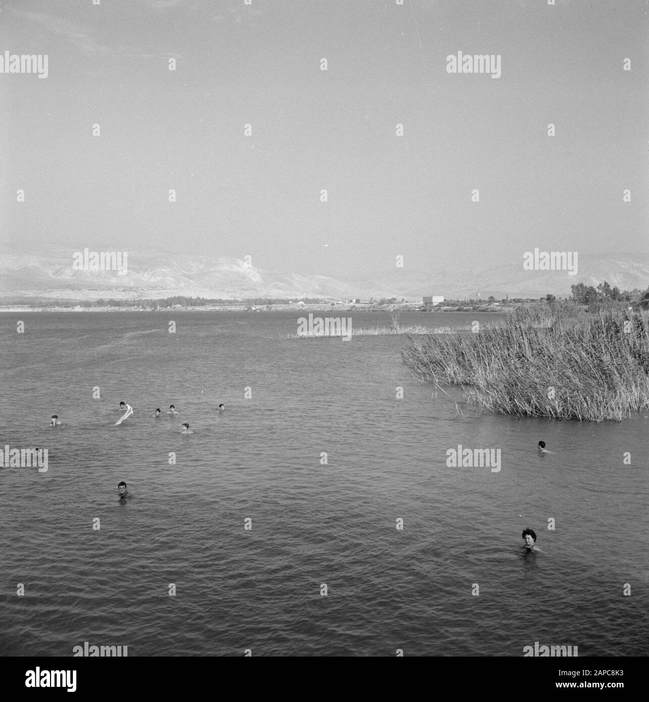 On the shore of Lake Tiberias with swimmers in the lake and overlooking Ein Gev Date: January 1, 1964 Location: Ein Gev, Israel, Lake Tiberias Keywords: hills, landscapes, lakes, swimming Stock Photo