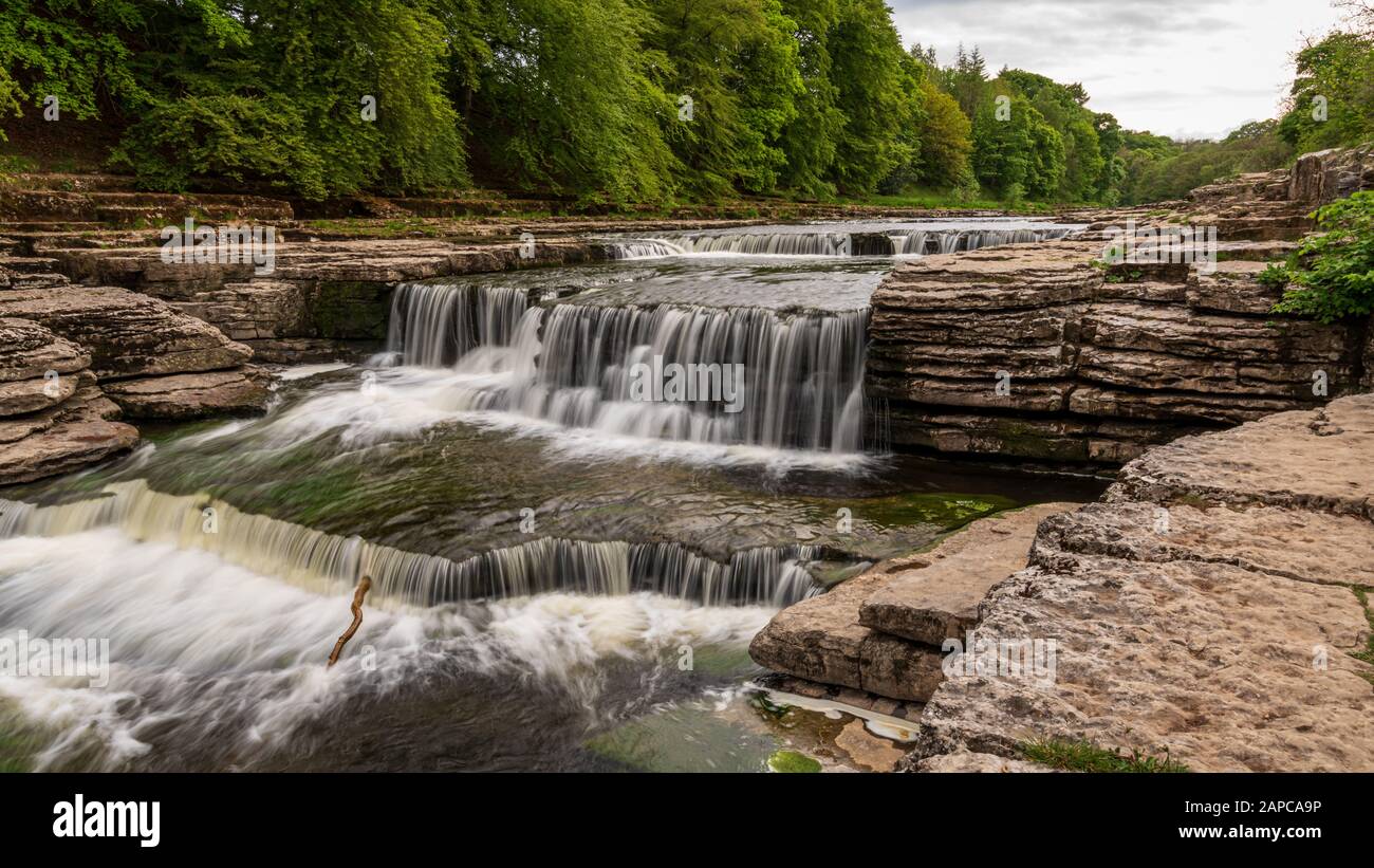 The Lower Falls of the Aysgarth Falls, North Yorkshire, England, UK